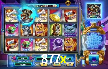 Flash Promotion 877x