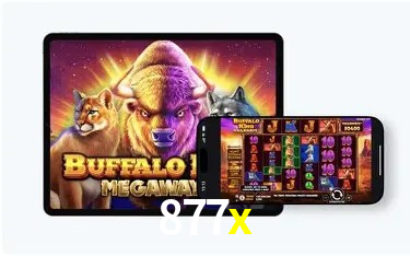 Statistics 877x