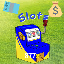 877x.net