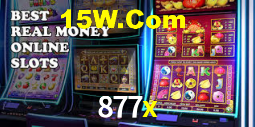 877x plataforma